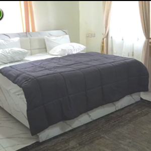 Executive Two-Bedroom Apartment